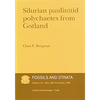 Fossils and Strata 25