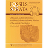Fossils and Strata 39